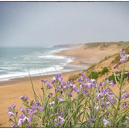 Les Pieds Dans L'eau Apartment